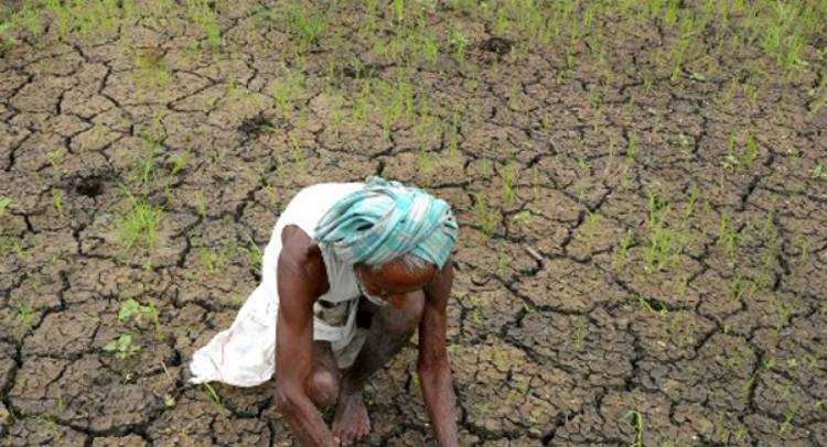 Maharashtra farmers moves Supreme Court challenging Article 31B of the Constitution