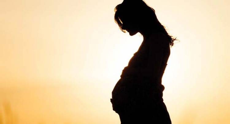 Bombay HC refuses to entertain plea for aborting pregnancy of 20-year-old Mumbai woman