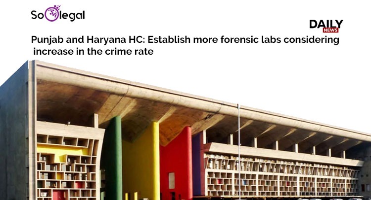 Punjab and Haryana HC: Establish more forensic labs considering increase in the crime rate