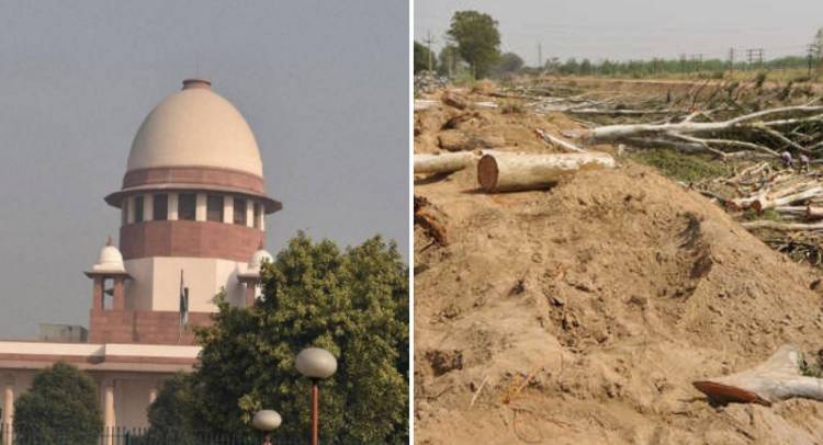 Supreme Court asks Punjab Govt to pay back Forest Fund spend for Paying Lawyers' Fee