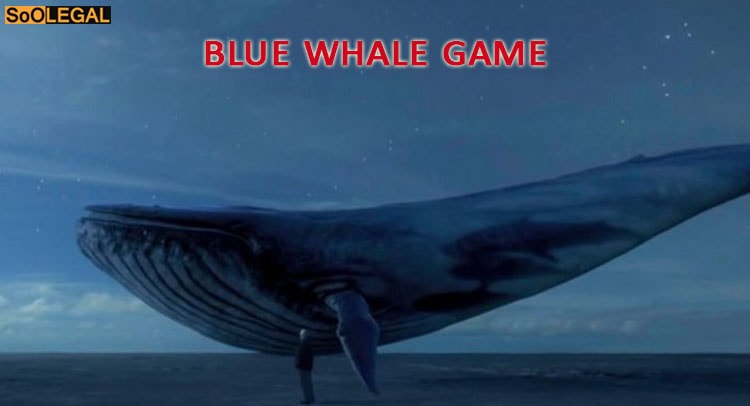 Blue Whale Game: Madras HC takes suo moto cognizance against deadly blue whale game