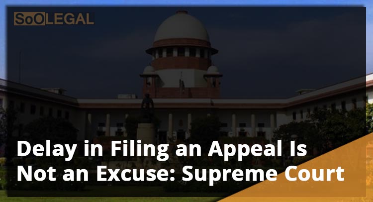 Delay in Filing an Appeal Is Not an Excuse: Supreme Court