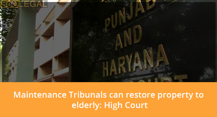 Maintenance Tribunals can restore property to elderly: High Court