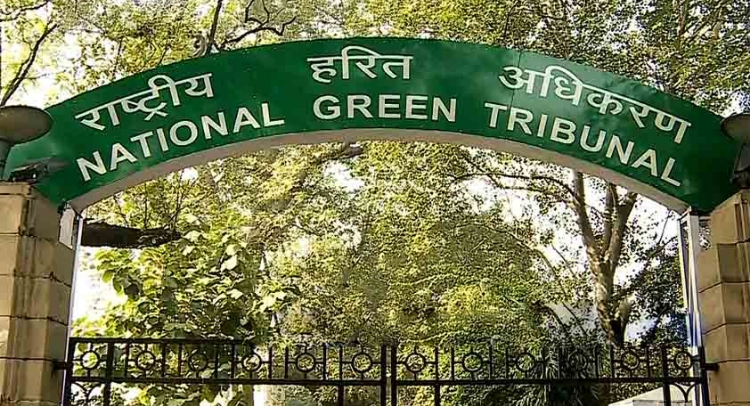 NGT slaps Rs 5L fine on educational institutions for not installing rainwater harvesting systems