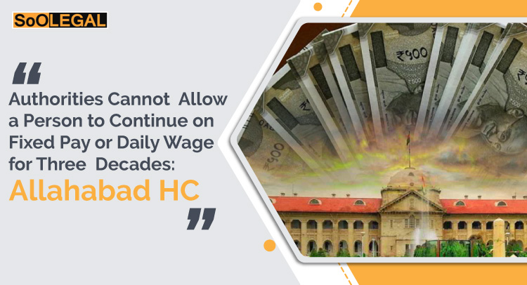 Authorities Cannot Allow a Person to Continue on Fixed Pay or Daily Wage for Three Decades: Allahabad HC