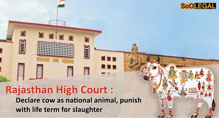 Rajasthan High Court: Declare cow national animal, punish with life term for slaughter [Read Full Judgement]