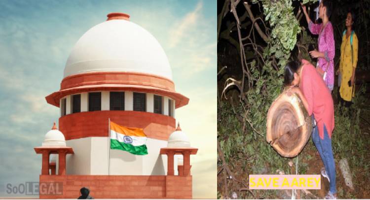 Supreme Court Stays cutting of trees by Maharashtra Government in Aarey Forest