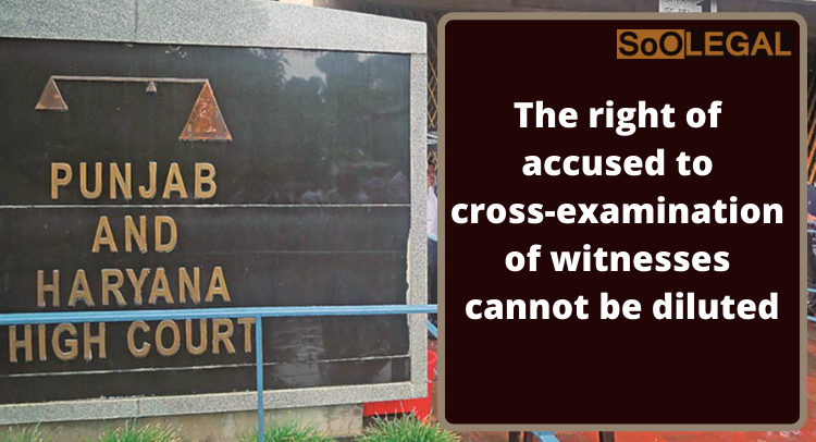 The right of accused to cross-examination of witnesses cannot be diluted: P&H High Court dismisses the judge for negating the “very basic and fundamental norms of a fair trial”.