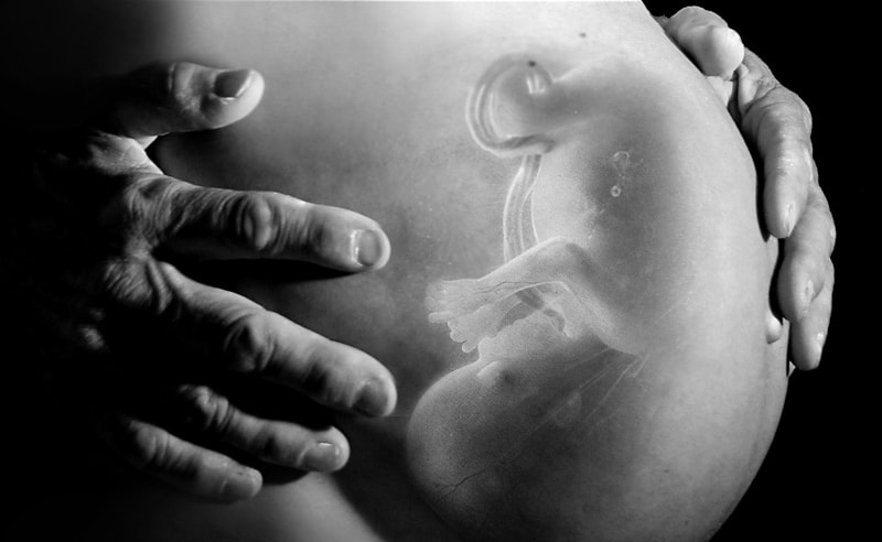 We have a life in our hands, can't allow abortion: SC