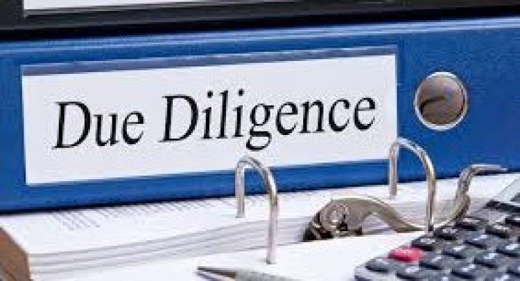 Due Diligence - a primer for beginners