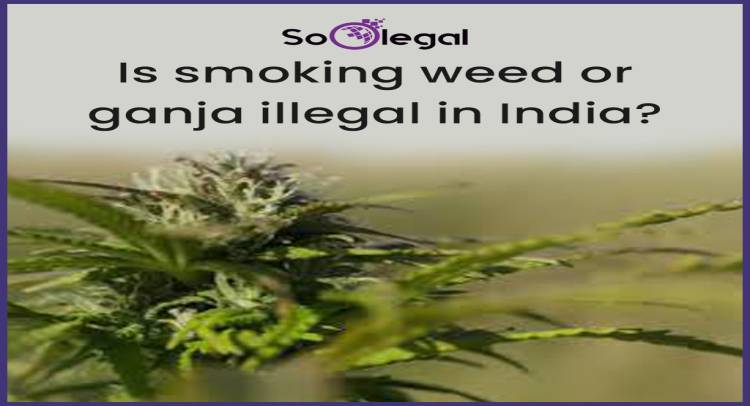Is smoking weed or ganja illegal in India?