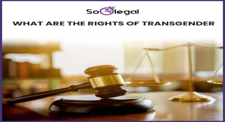 WHAT ARE THE RIGHTS OF TRANSGENDER IN INDIA?