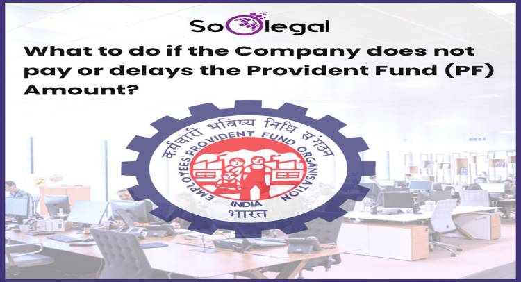 What to do if the Company does not pay or delays the Provident Fund (PF) Amount?