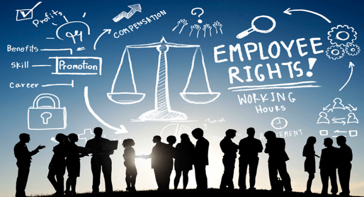 Top Eight Ways Employment Law Can Benefit Employers