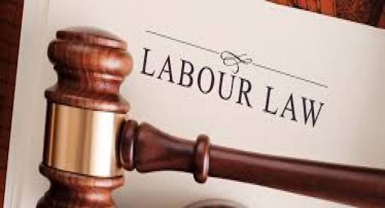 Employment/Labour Law