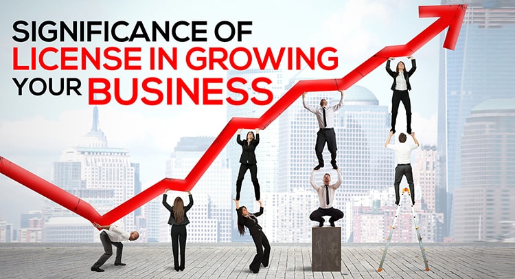 Significance of License in growing your business